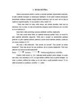 Referāts 'Riska faktors uzņēmējdarbībā, tā prognozēšana', 5.