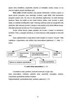 Referāts 'Riska faktors uzņēmējdarbībā, tā prognozēšana', 23.