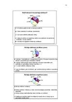 Referāts 'Mācību sasniegumu vertēšana pamatskolā', 35.