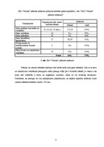 Biznesa plāns 'Biznesa plāns SIA "Veltuks"', 8.