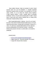 Referāts 'Olimpiskās spēles', 3.