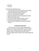 Konspekts 'Kā analizēt dzejoli?', 5.