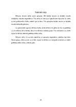 Referāts 'Zinātnieciski pētnieciskais darbs par reklāmas ietekmi uz patērētāju', 24.