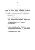 Referāts 'Naudas līdzekļu uzskaites veidi un atbilstība normatīvo aktu prasībām', 3.