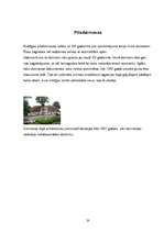 Referāts 'Kuldīga', 20.