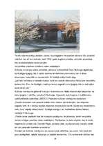 Referāts 'Kuldīga', 29.