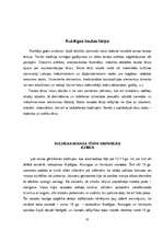 Referāts 'Kuldīga', 35.