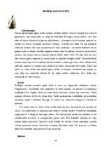 Referāts 'Kuldīga', 38.