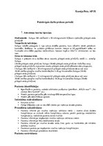 Konspekts 'Prakses atskaite', 1.