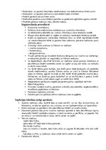 Konspekts 'Prakses atskaite', 2.