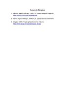 Konspekts 'Liepājas pilsētas domes, Ministru Kabineta un Saeimas darbības izvērtējums', 3.