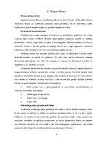 Biznesa plāns 'Veselības smūtīju bārs', 4.