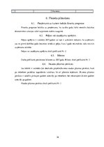 Biznesa plāns 'Veselības smūtīju bārs', 26.