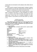 Referāts 'Uzņēmējdarbībā izmantoto darījumu pielietošana praksē, to uzskaite un aplikšana ', 7.