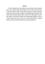 Referāts 'Reinkarnācija, tās būtība', 3.