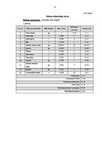 Biznesa plāns 'Krogs "Allegro"', 19.