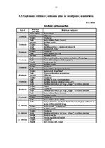 Biznesa plāns 'Krogs "Allegro"', 21.