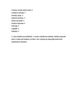 Referāts 'Priekšnoteikumi bērnu ar speciālajām vajadzībām integrācijai vispārizglītojošā s', 19.