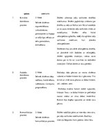 Prakses atskaite 'Integrētās mācību prakses sākumskolā atskaite. Filmētā materiāla apraksts', 2.