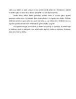 Prakses atskaite 'Integrētās mācību prakses sākumskolā atskaite. Filmētā materiāla apraksts', 5.