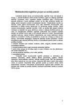Referāts 'Dzīve multikultūru sabiedrībā', 8.