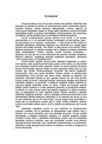 Referāts 'Dzīve multikultūru sabiedrībā', 9.