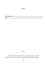 Referāts 'Administratīvais process un pārkāpumu problēmas', 2.