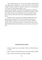 Referāts 'Administratīvais process un pārkāpumu problēmas', 20.