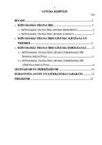 Referāts 'Dzīvojamo telpu īres līgums', 2.