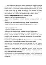 Referāts 'Preču imports un eksports Latvijā', 6.