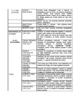 Konspekts 'Pedagoģijas vesture', 2.