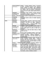 Konspekts 'Pedagoģijas vesture', 3.