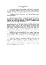 Eseja 'Mezolīta apmetnes', 1.