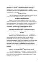 Konspekts 'Pētījumu metodiskie un procedūras elementi', 4.