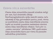 Prezentācija 'Ozona degradācija', 18.