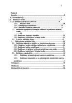 Diplomdarbs 'Investīciju projektu novērtēšana', 2.