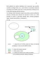 Diplomdarbs 'Investīciju projektu novērtēšana', 35.
