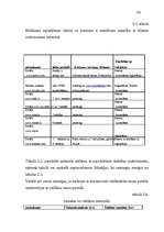 Diplomdarbs 'Investīciju projektu novērtēšana', 42.