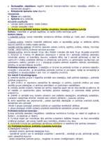 Konspekts 'Politoloģija', 9.