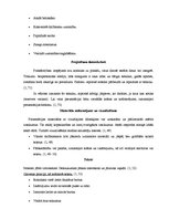 Konspekts 'Vizuālās prezentēšanas noformēšana', 2.