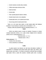 Konspekts 'Vizuālās prezentēšanas noformēšana', 3.