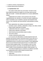 Biznesa plāns 'Biznesa uzsākšanas iespējas jauniešiem Kuldīgas novadā', 7.