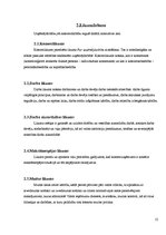 Biznesa plāns 'Biznesa uzsākšanas iespējas jauniešiem Kuldīgas novadā', 12.