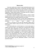 Biznesa plāns 'Biznesa uzsākšanas iespējas jauniešiem Kuldīgas novadā', 15.