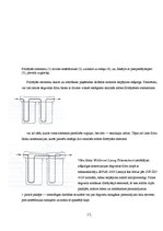 Konspekts 'Dīzeļdzinēja barošanas sistēma', 17.