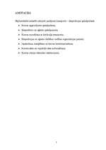 Diplomdarbs 'Транспортно-экспедиционное обслуживание фирмы “LITER”', 7.