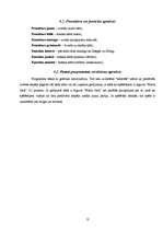 Referāts 'Spēles apraksts', 12.