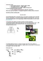 Konspekts 'Ekoloģija', 4.