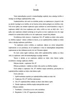 Prakses atskaite 'Uzņēmuma SIA "X" iekšējās un ārējās vides analīze un attīstības iespējas', 2.