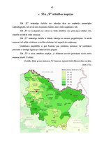 Prakses atskaite 'Uzņēmuma SIA "X" iekšējās un ārējās vides analīze un attīstības iespējas', 45.